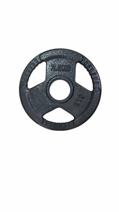 DISCO OLIMPICO FUNDICION GRIS C/AGARRE 2,5KG