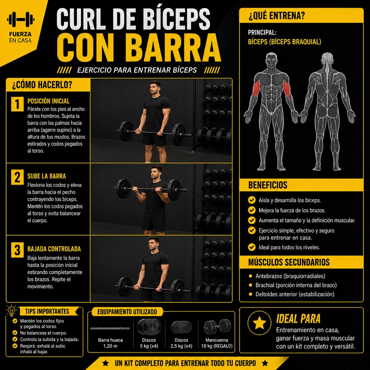 Curl de biceps con barra