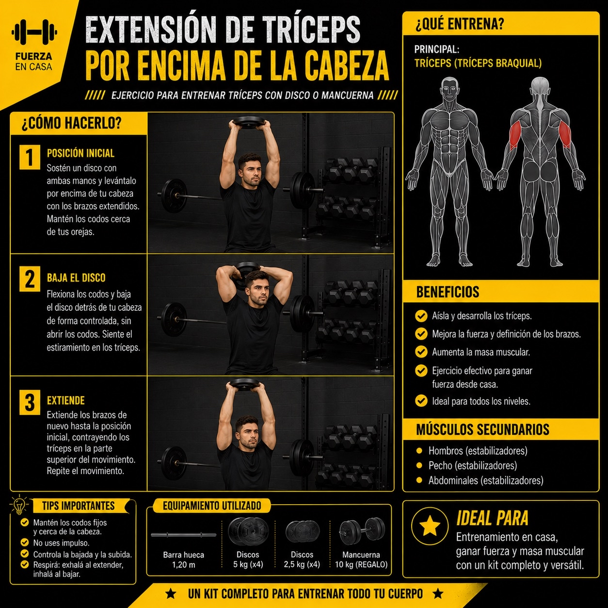 Extension de triceps por encima de la cabeza